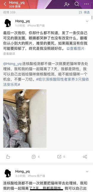 https://i.ibb.co/R6c97vZ/p495876079.jpg