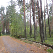 IMG-9783