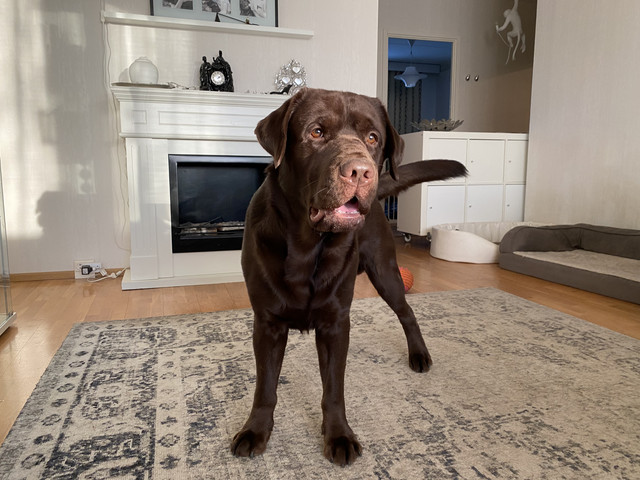 165-DE0-AC-8105-410-E-9-F86-3-A926-B85-A