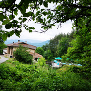 IMG-20220710-174542