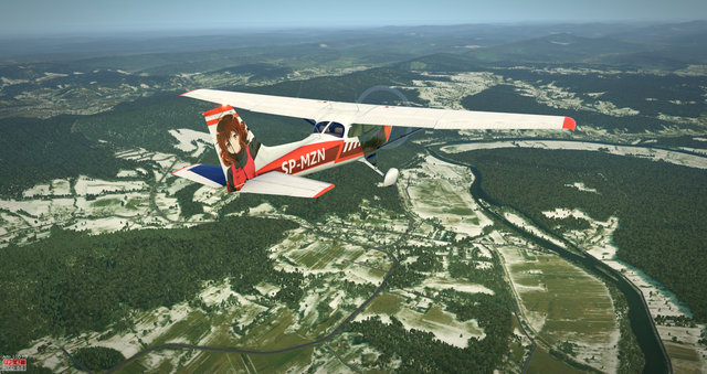 Cessna 172 SP 49.png