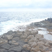 DSCF8630