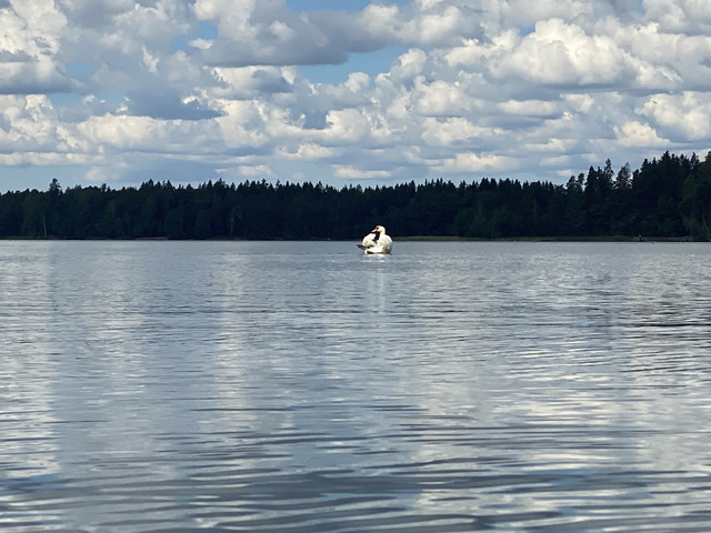 EAE49405-BB57-4-F49-9-C56-2-AC5996004-C3