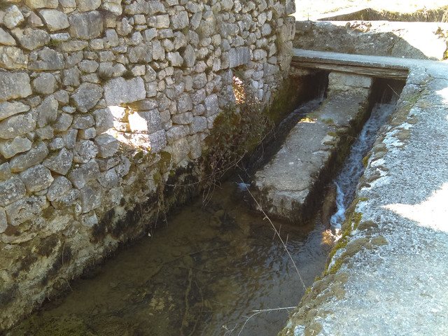 IMAG2269