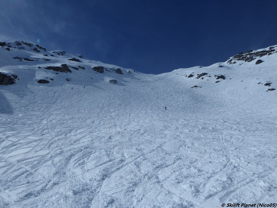 P1110646.jpg