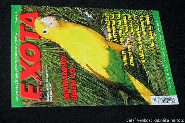 IMG-7812.jpg