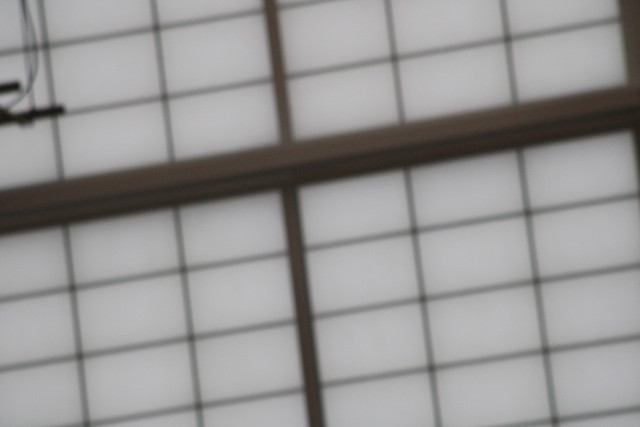 IMG-0038.jpg