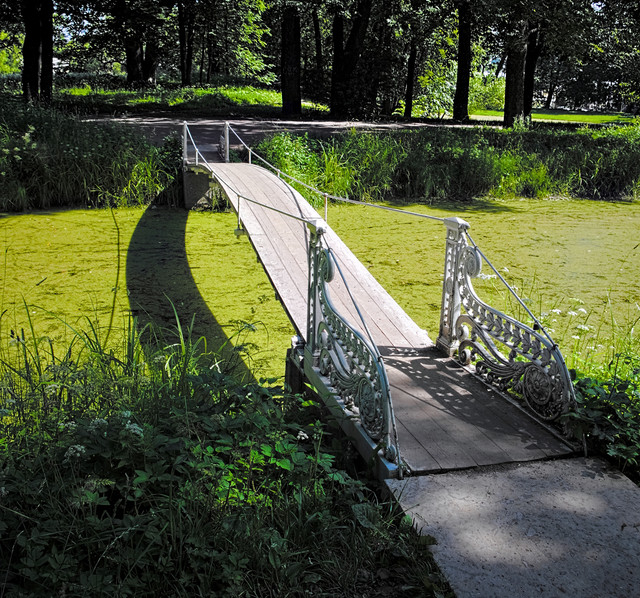 IMGP0164.jpg