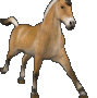 DECOCHEVAL
