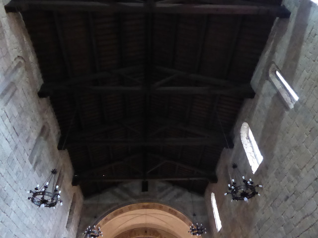 P1010515.jpg