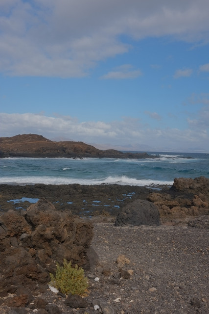 DSCF8662.jpg