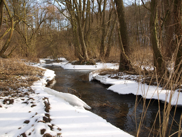 spring-038