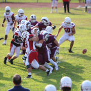 IMG-2115
