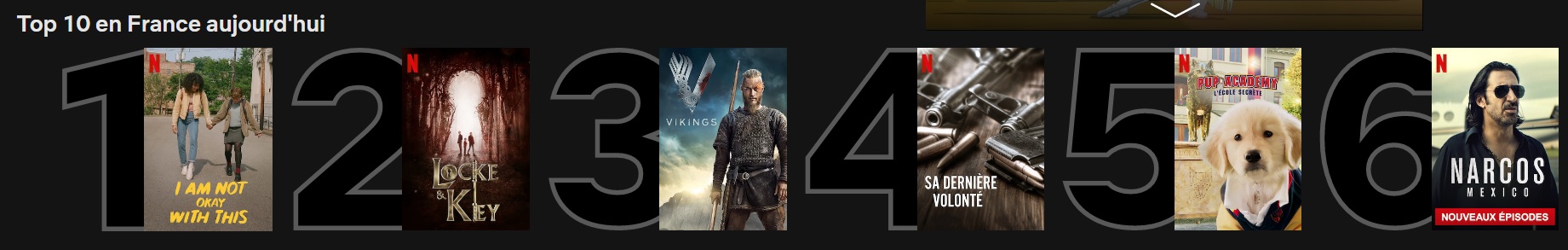 https://i.ibb.co/R9J4kkc/NETFLIX.jpg