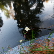 IMGP2182
