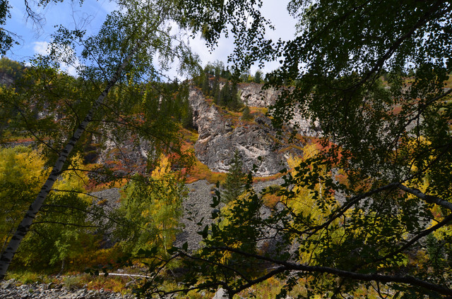 DSC-0017.jpg