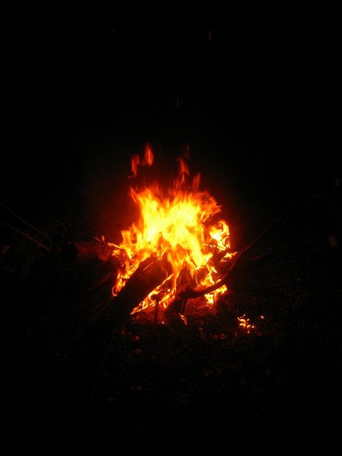 19992798.jpg