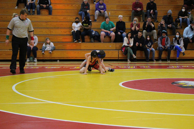 IMG-0201
