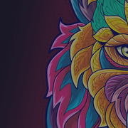 Corel-DRAW-Banner-REV-opt