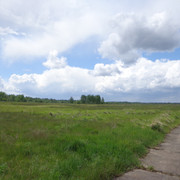 DSC00553