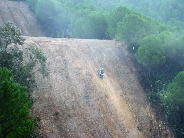 OLYMPUS-DIGITAL-CAMERA.jpg