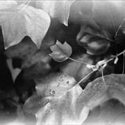 Scan-120930-0001