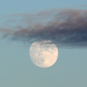 IMG-3358