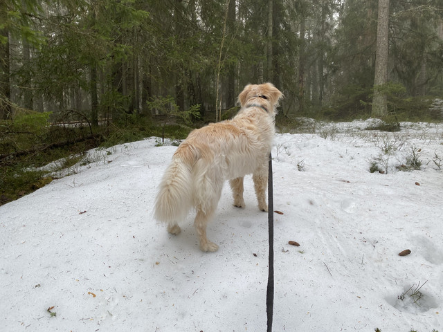 5869-B13-A-A8-B7-41-A1-AA0-E-69-EFF117-D