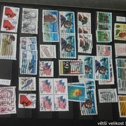 IMG-3093