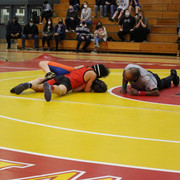 IMG-0133