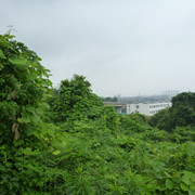 P1320047