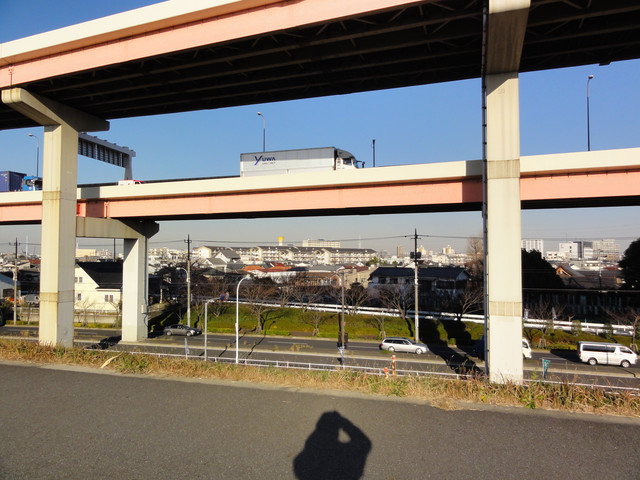 2010-12-27-117.jpg