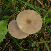 P1130647