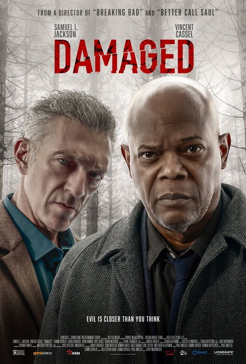 Tropem Mordercy / Damaged (2024) 1080p.WEB-DL.H264.AC3.5.1.BP007 | Lektor i Napisy PL