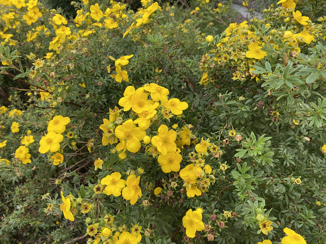 5506-F8-D0-0362-484-F-BEC7-37728-A570-F7