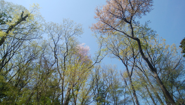 DSC-0177