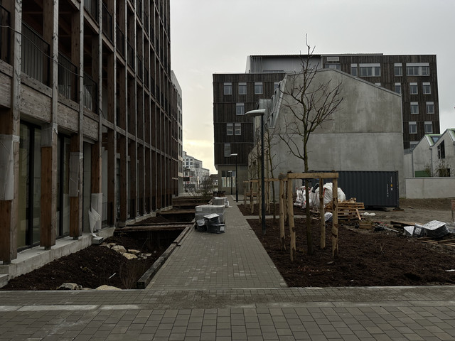 IMG-1729