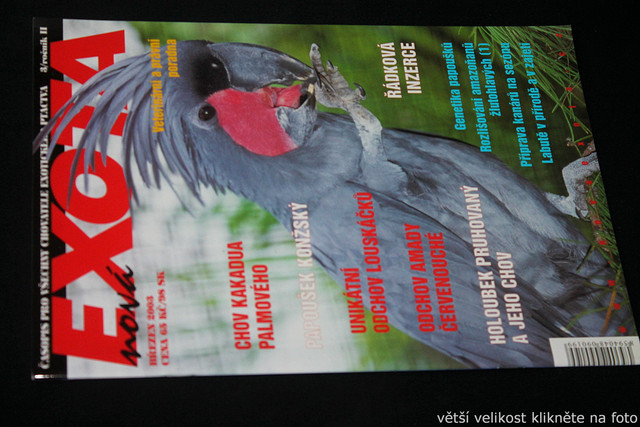 IMG-7777