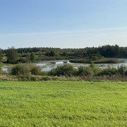 IMG-0604