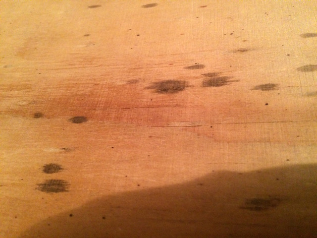 IMG-3656