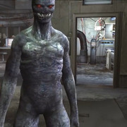 RE4-13