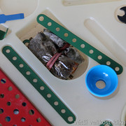 IMG-3074