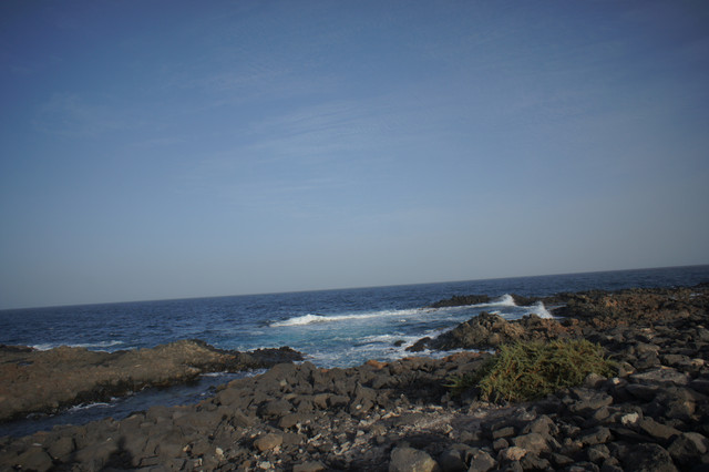 DSC01071.jpg
