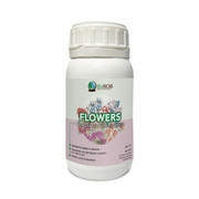 Flowers-6