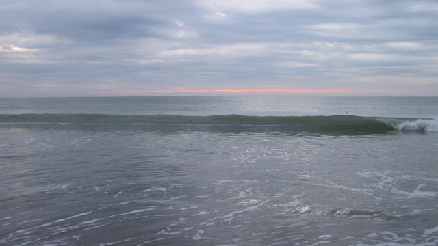 IMG-1327