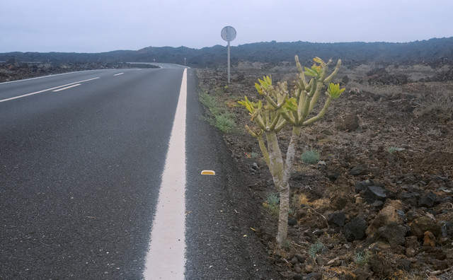 DSCF9726.jpg