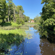 IMG-2321