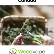 Main-Order-Weed-Canada-24
