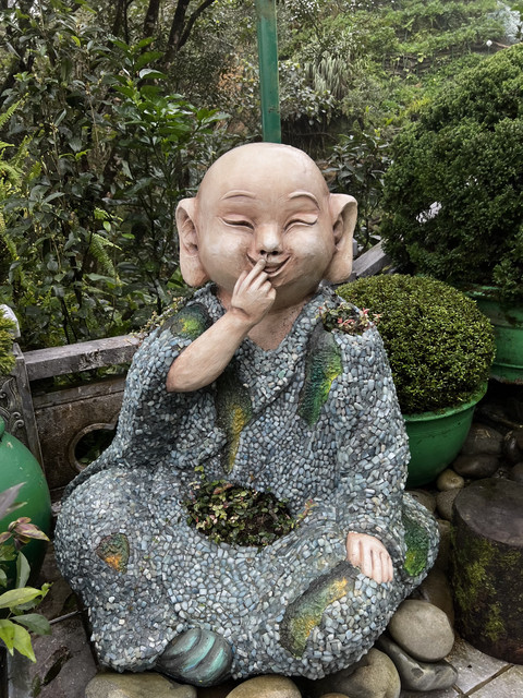 IMG-6486