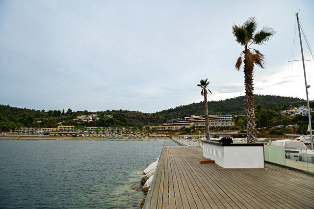 pic-355.jpg